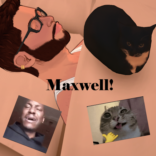 Item Series: Maxwell The Cat!