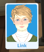 Link of Hyrule