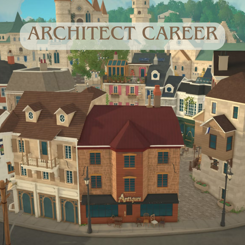 Architect Career