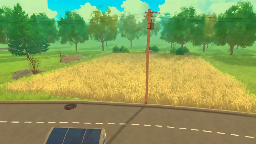 Empty Lot til the Cows Come Home