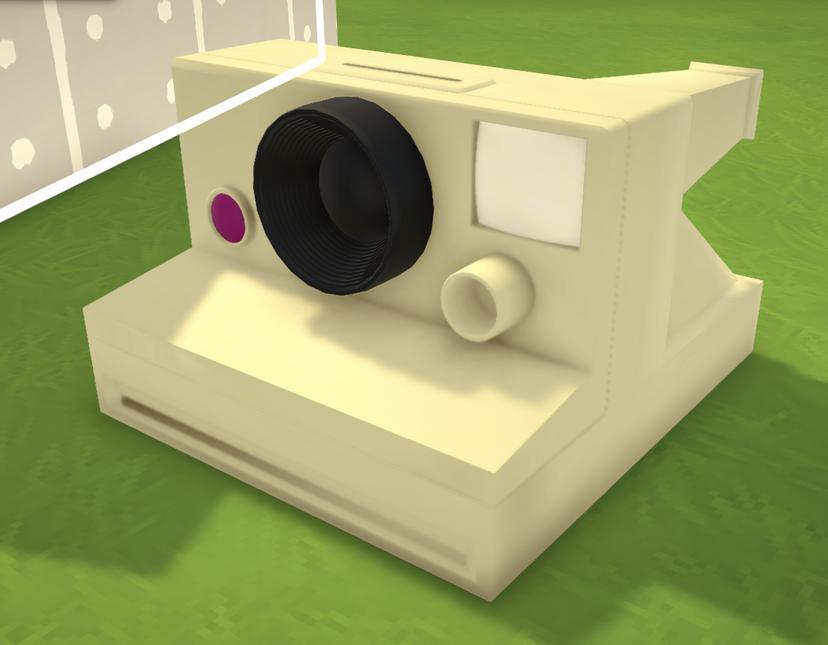 Count Raqula's Polaroid Camera