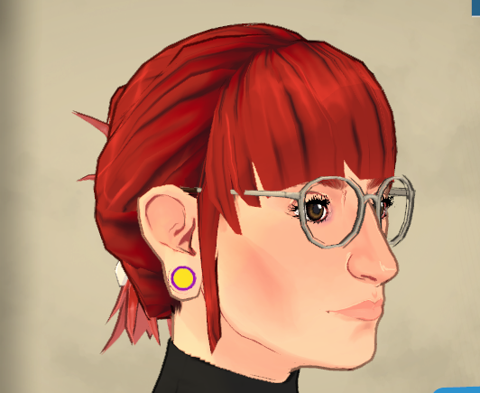 Guage/Plug Earrings
