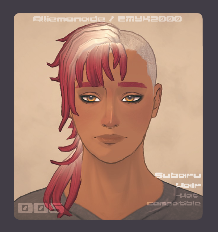Subaru Hair_006