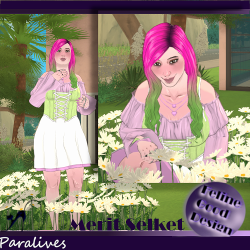Merit Selket