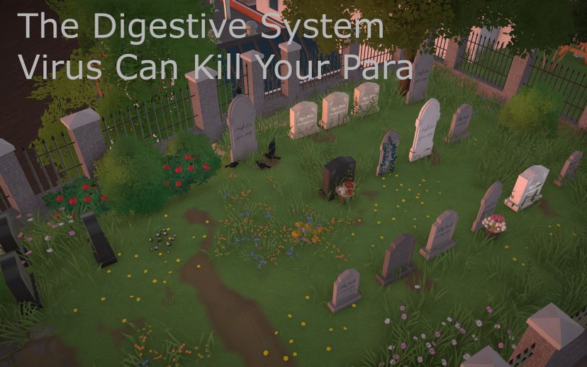 Digestive System Virus Can Kill Your Para