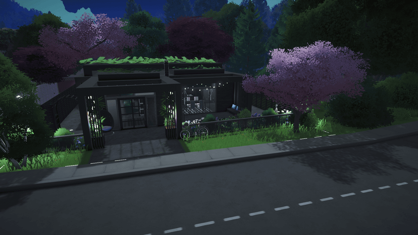 Dark Modern Home
