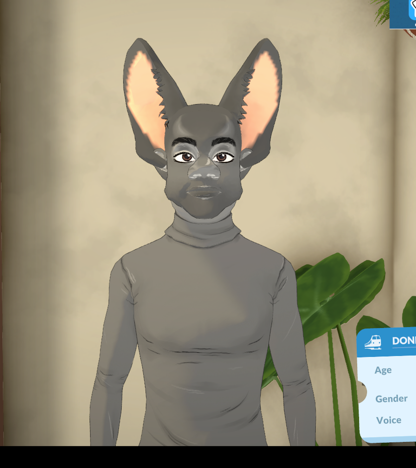 The DONKEY Household