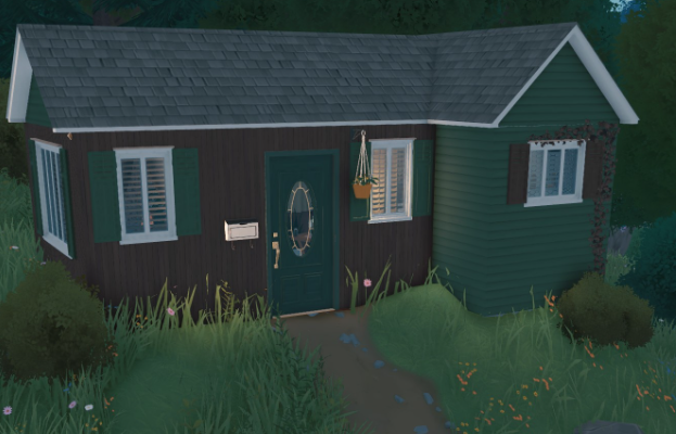 Tiny Cozy Cluttered Home