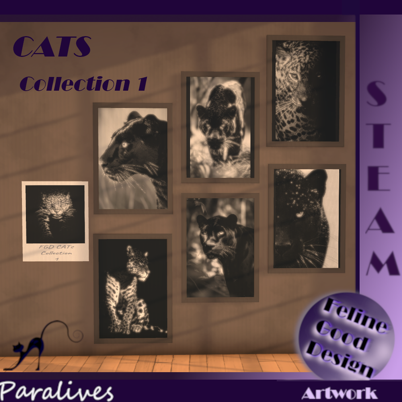 FGD CATS Collection 1