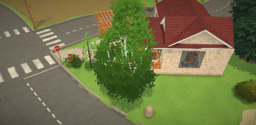 colorful starter studio