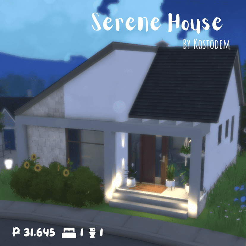 Serene House (With Basement!)