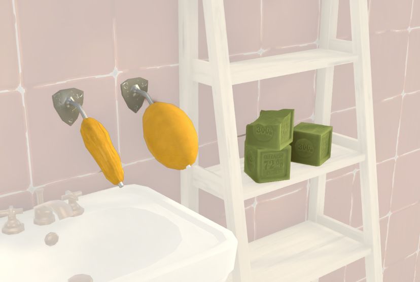 Traditional French Soap
