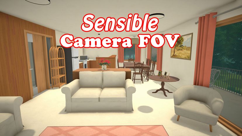 Sensible Camera FOV