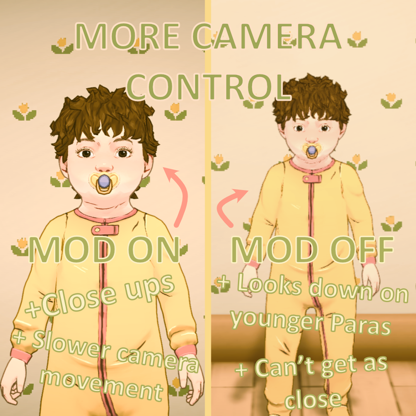 More Camera Control - Live Mode not Paramaker
