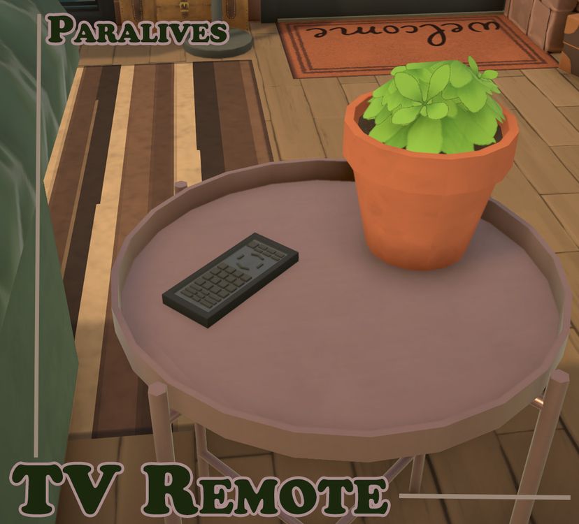 TV Remote