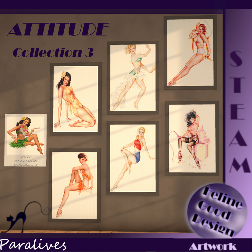 FGD ATTITUDE Collection 3