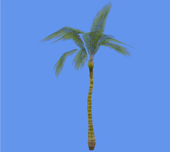 Australian Real Palm Tree
