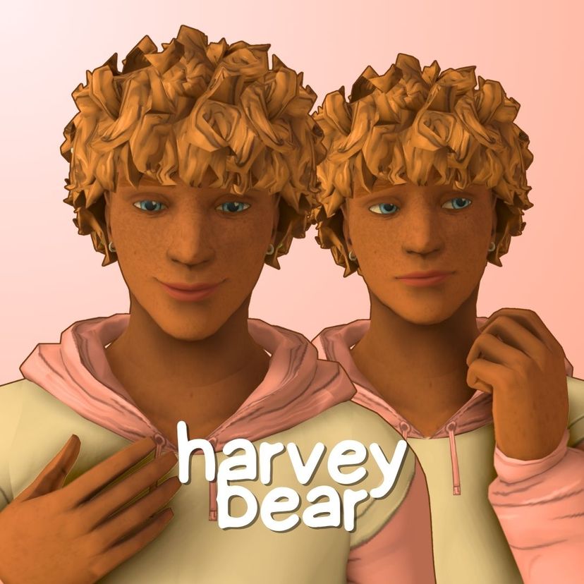 Harvey Bear