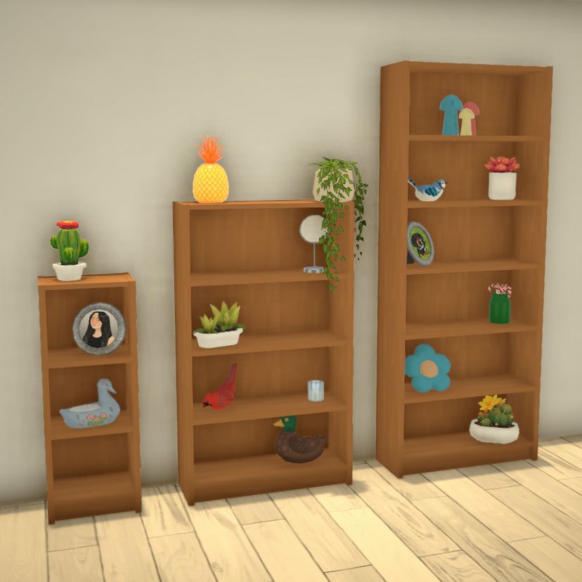 Ikea Billy Bookcase