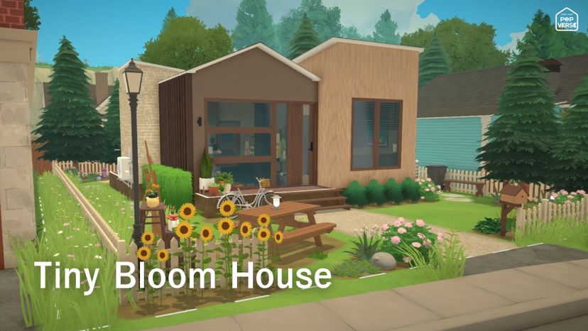Tiny Boom House