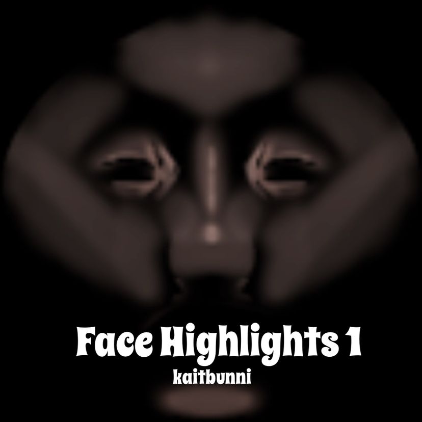 Face Highlights 1