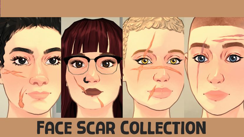 [Meira]Face Scar Collection