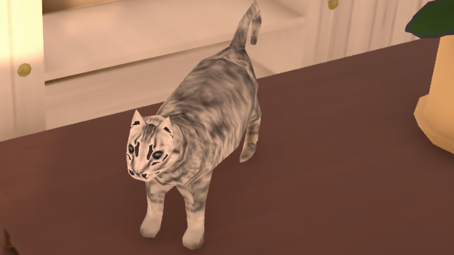 Cat
