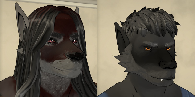 Werewolf Roommates