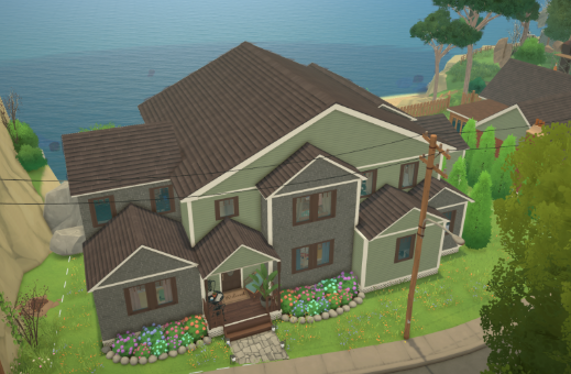 Big family house