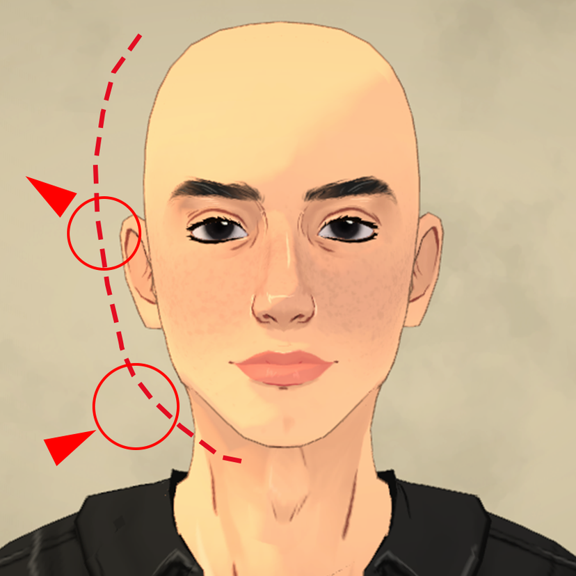 Face Preset