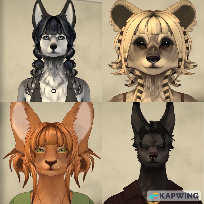 Para Furries