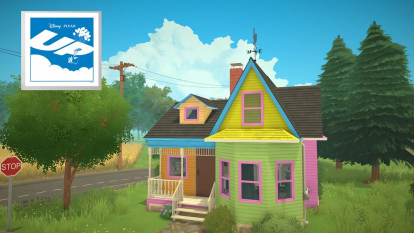 House "UP" Disney Movie