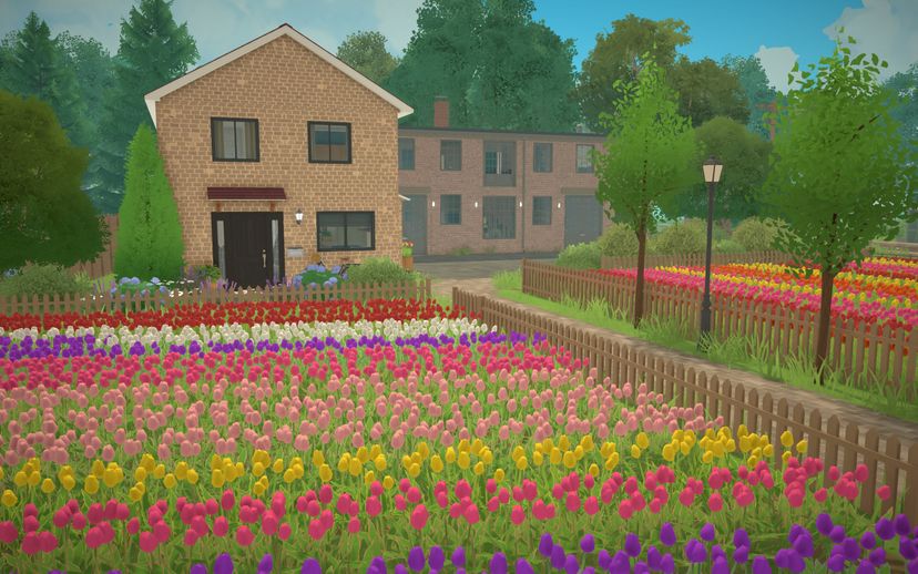 Dutch Tulip Bulb Farm