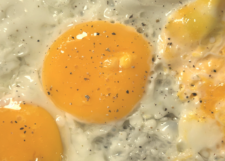 Real Eggs Photo