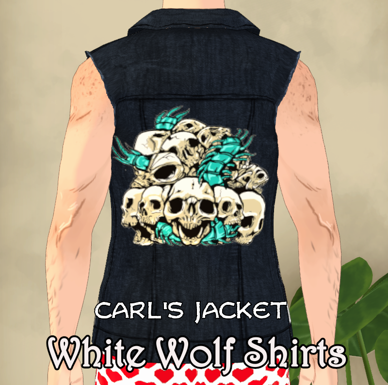 Dungeon Crawler Carl - Carl's Jacket