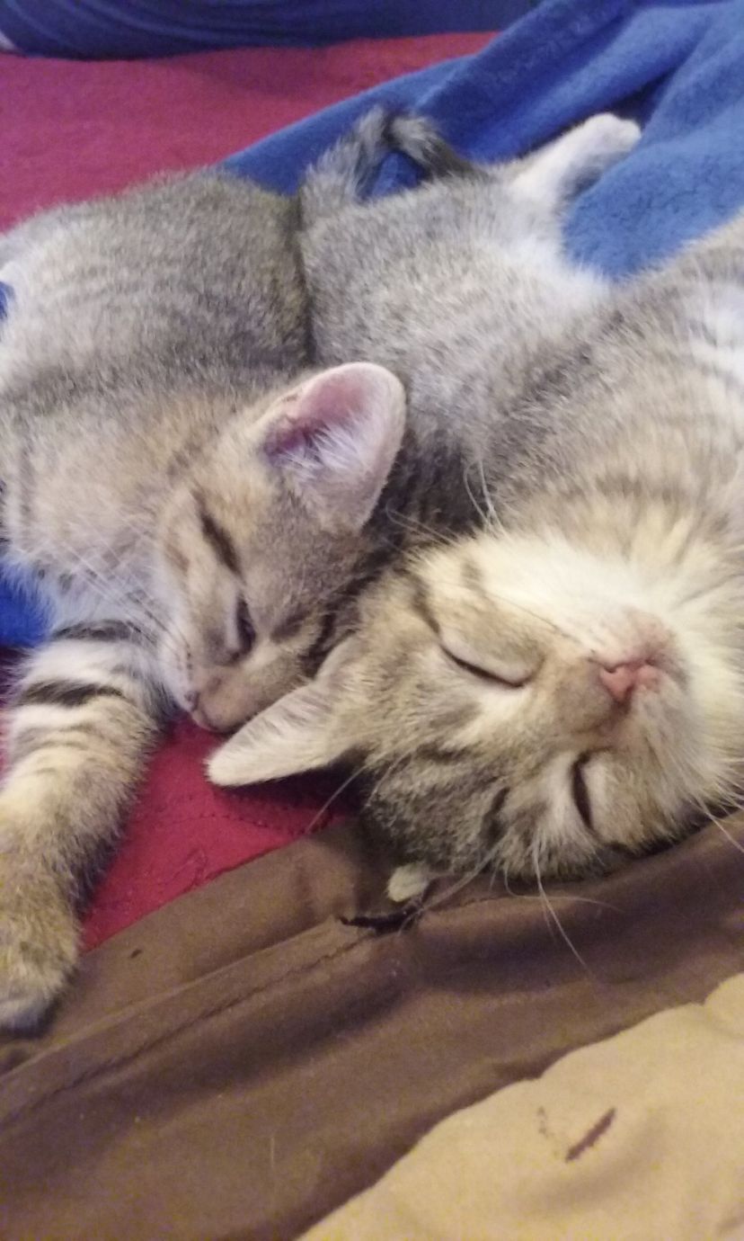 Surprise...it's identical twins