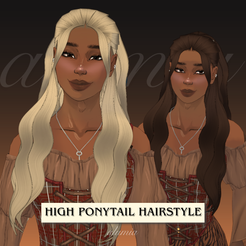 High Ponytail Hairstyle