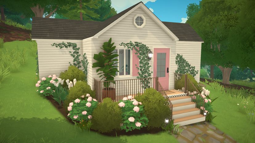 Tiny Pink House
