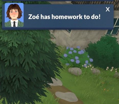 More Daily Homework