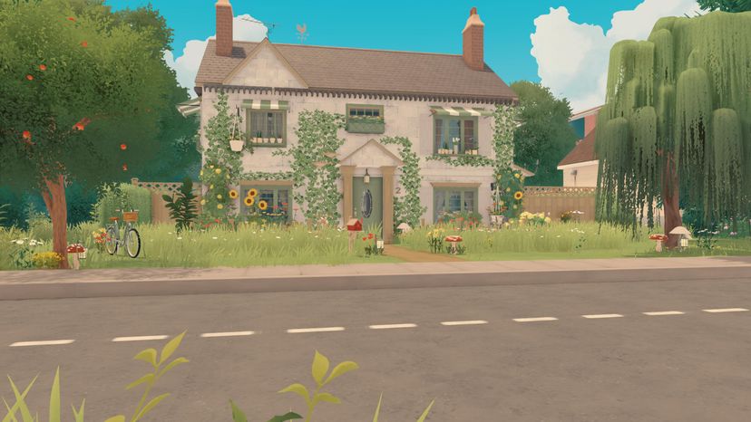 Cozy cottage